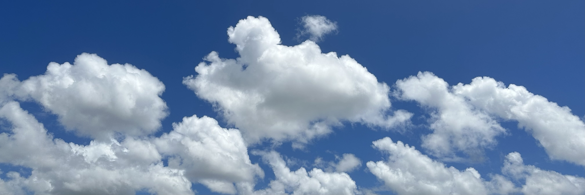 A photo of the sky I took. Sometimes I forget that I took it because it looks so lovely. There's some magic in photography.